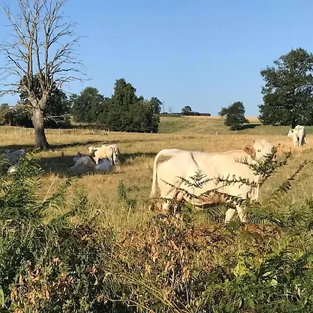 Bonnet Semesterbostad *