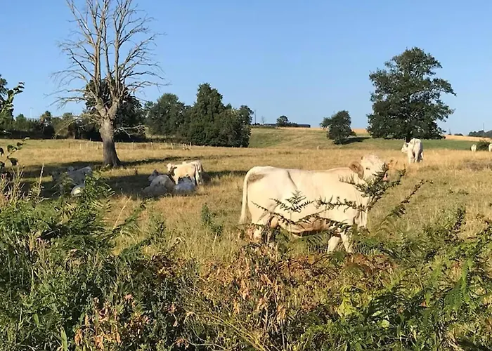 Bonnet Holiday home *